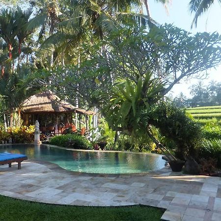 Villa Orchid Bali Ubud Dış mekan fotoğraf