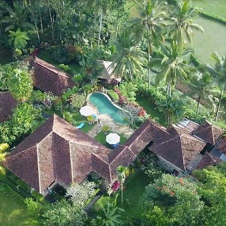 Villa Orchid Bali Ubud Dış mekan fotoğraf