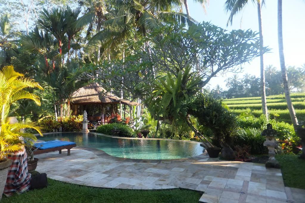 Villa Orchid Bali Ubud Dış mekan fotoğraf