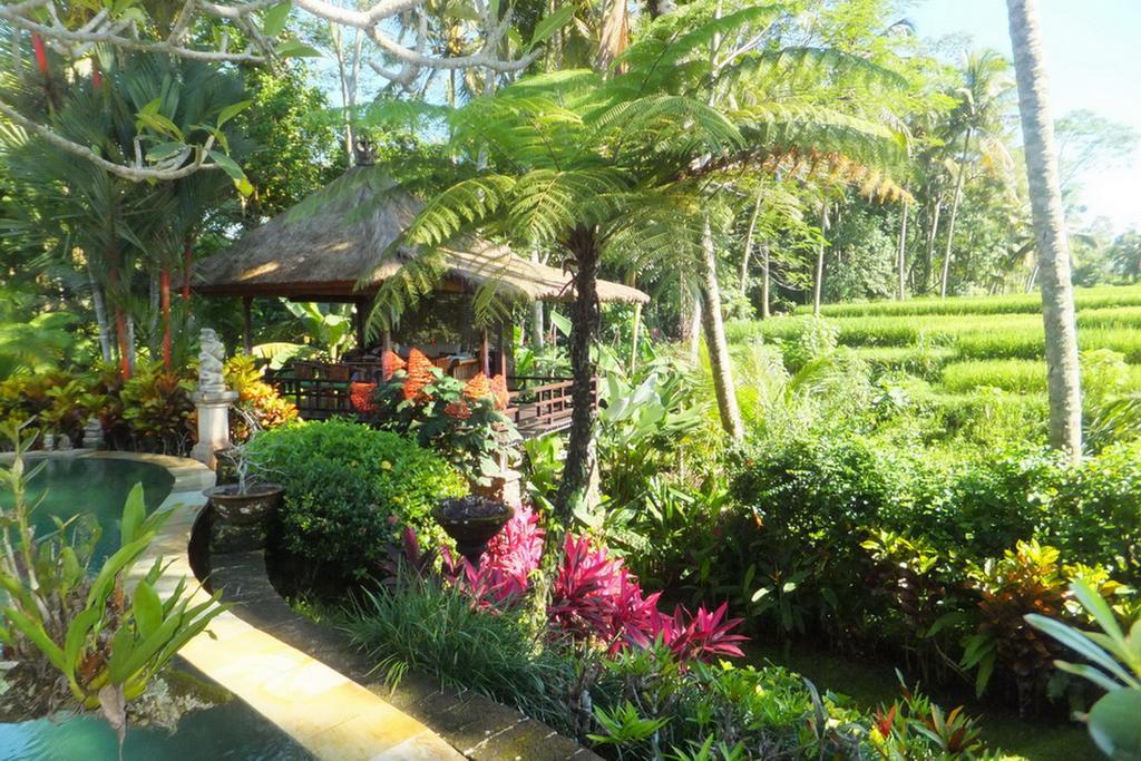 Villa Orchid Bali Ubud Dış mekan fotoğraf