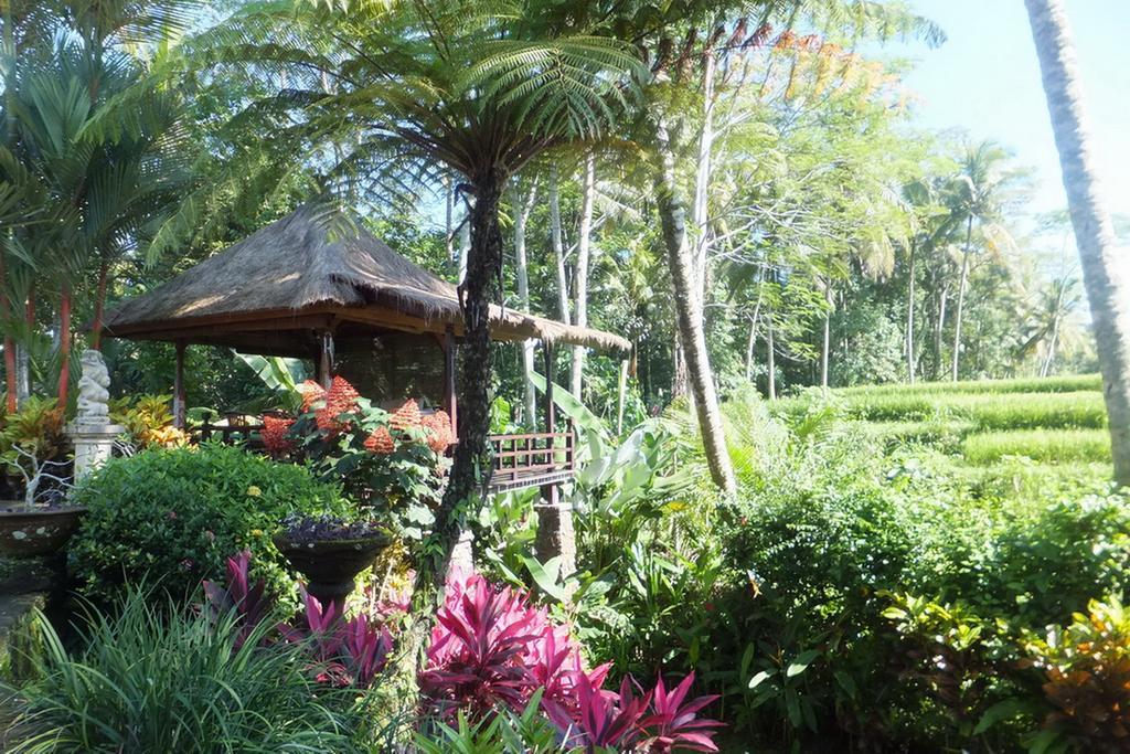 Villa Orchid Bali Ubud Dış mekan fotoğraf