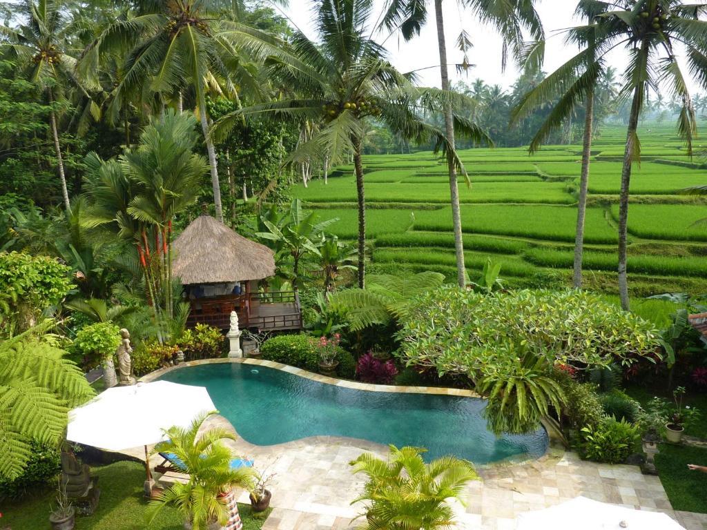 Villa Orchid Bali Ubud Dış mekan fotoğraf