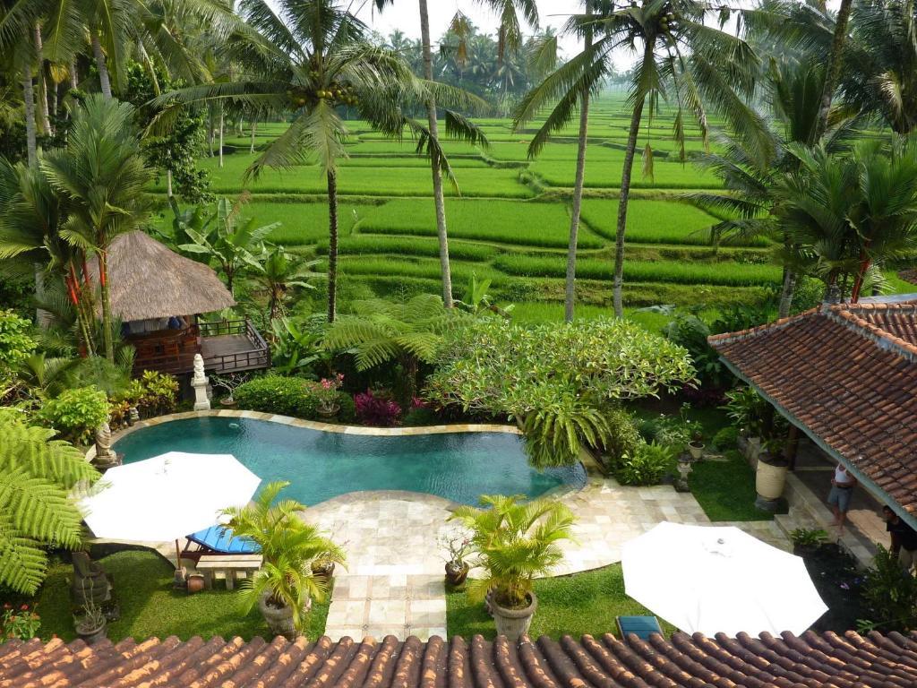 Villa Orchid Bali Ubud Dış mekan fotoğraf