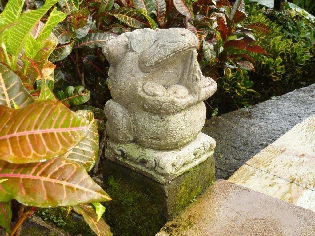Villa Orchid Bali Ubud Dış mekan fotoğraf