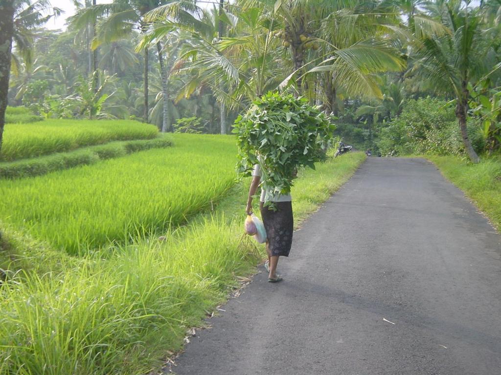 Villa Orchid Bali Ubud Dış mekan fotoğraf