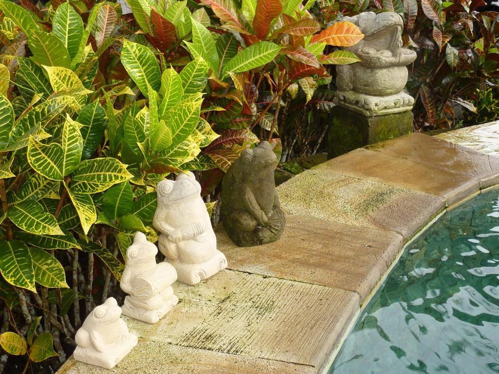 Villa Orchid Bali Ubud Dış mekan fotoğraf