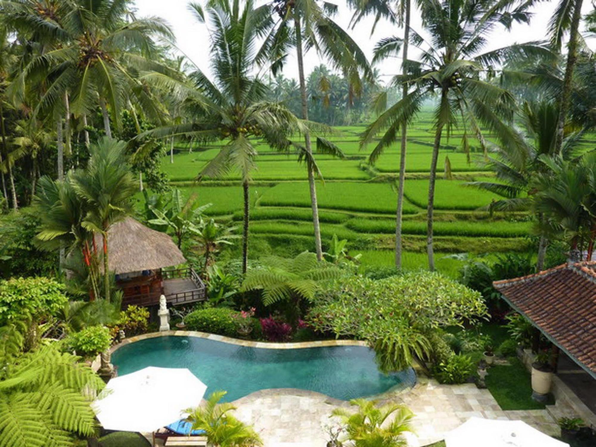 Villa Orchid Bali Ubud Dış mekan fotoğraf